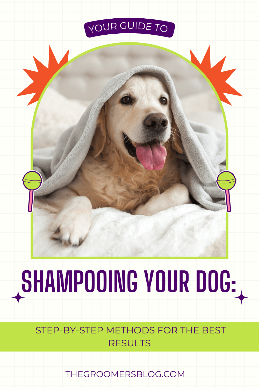 A golden retriever in a towel
