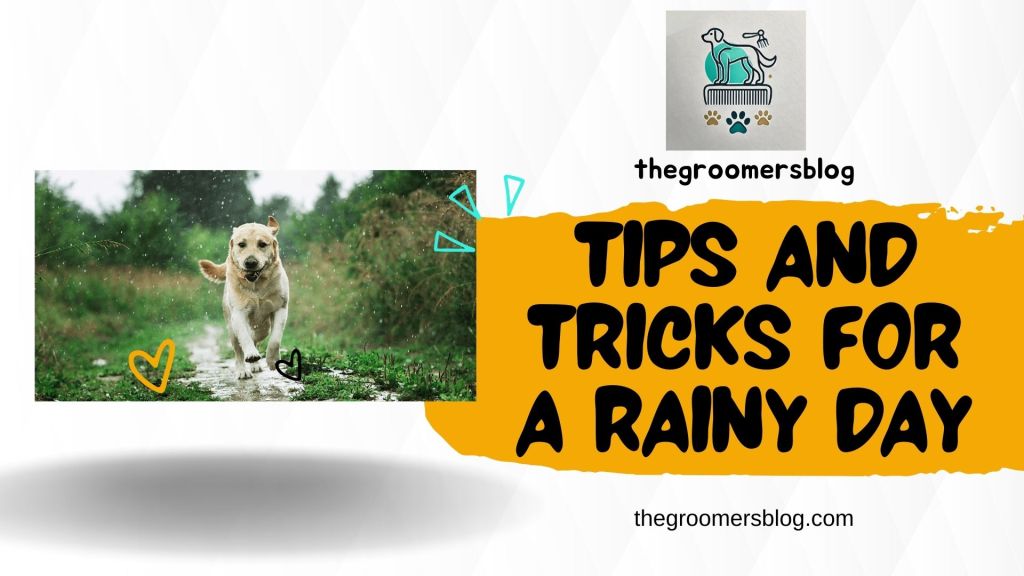 a lab running in water with an orange and white sign for rainy day tips for your dog