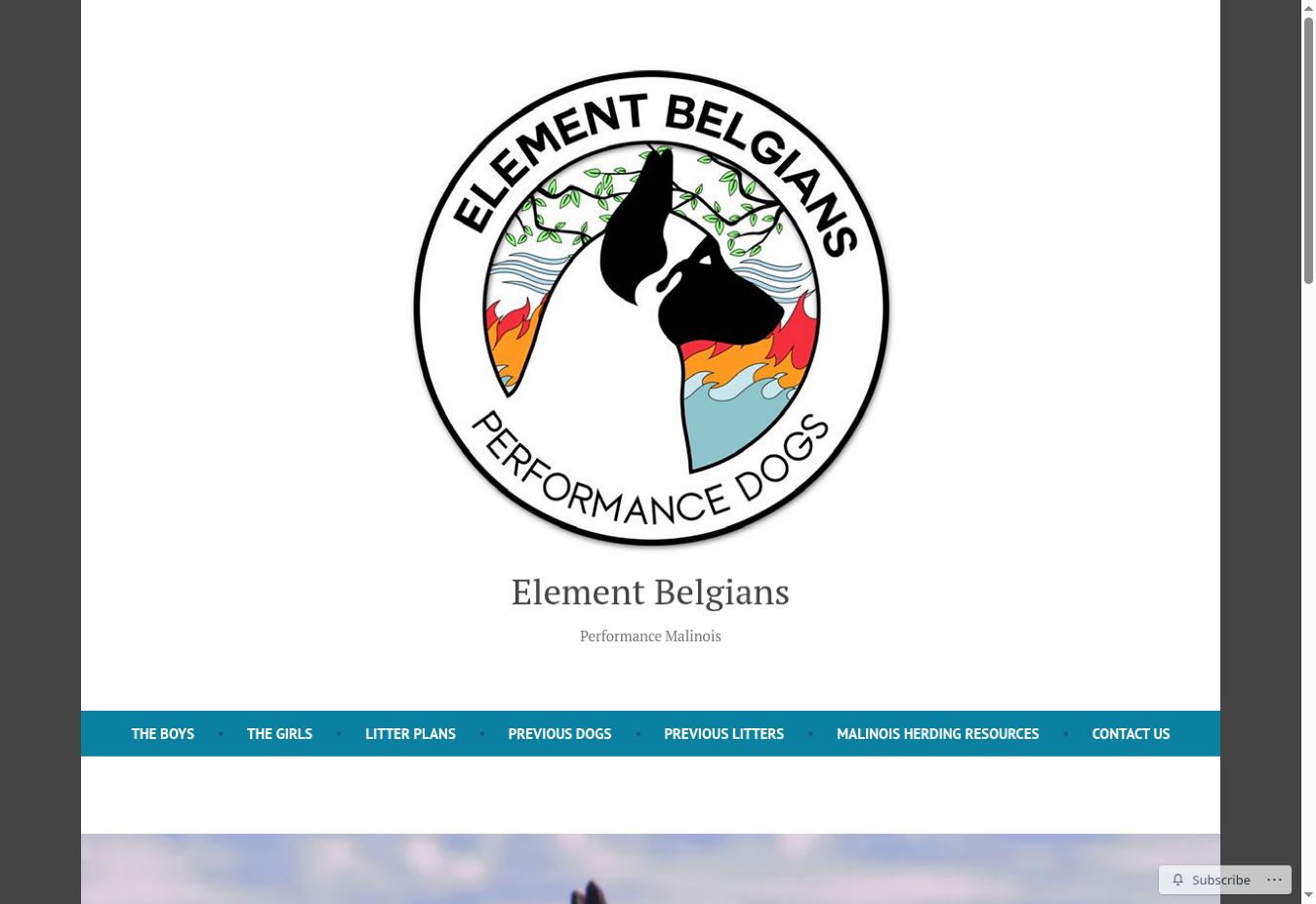 Element Belgians WordPress website homepage